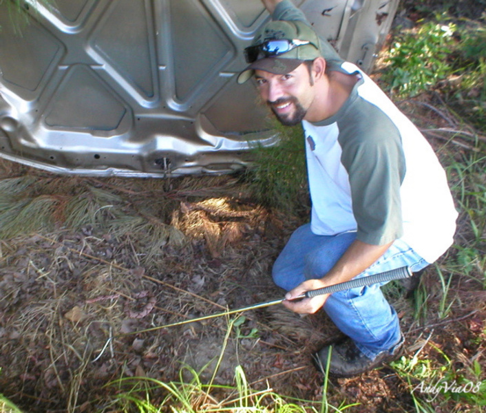 Field Herping