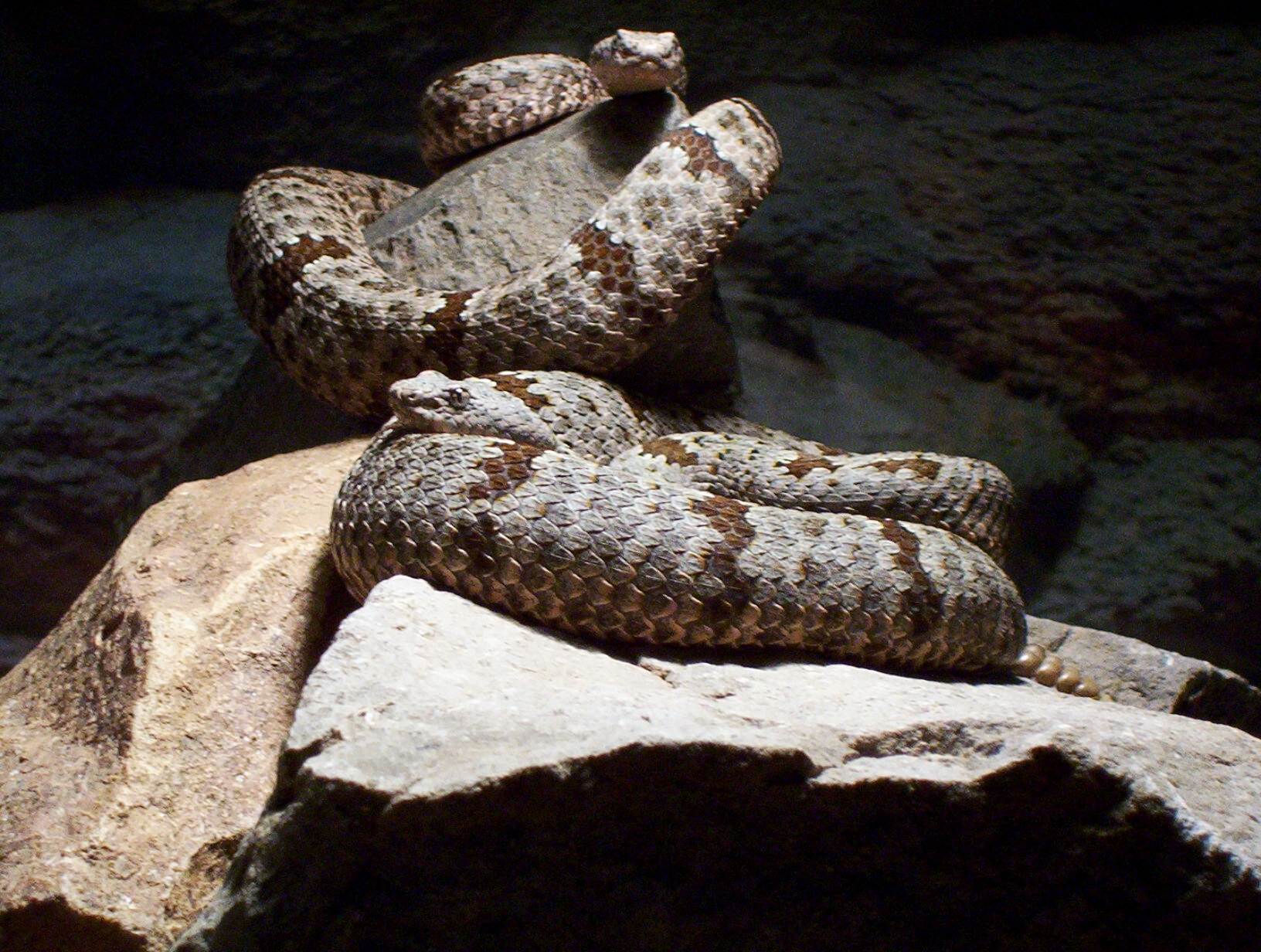 100_3843.JPG [1356 Kb]
