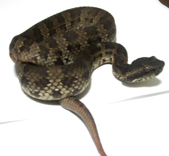 �q���n�u10.14e.JPG [34 Kb]