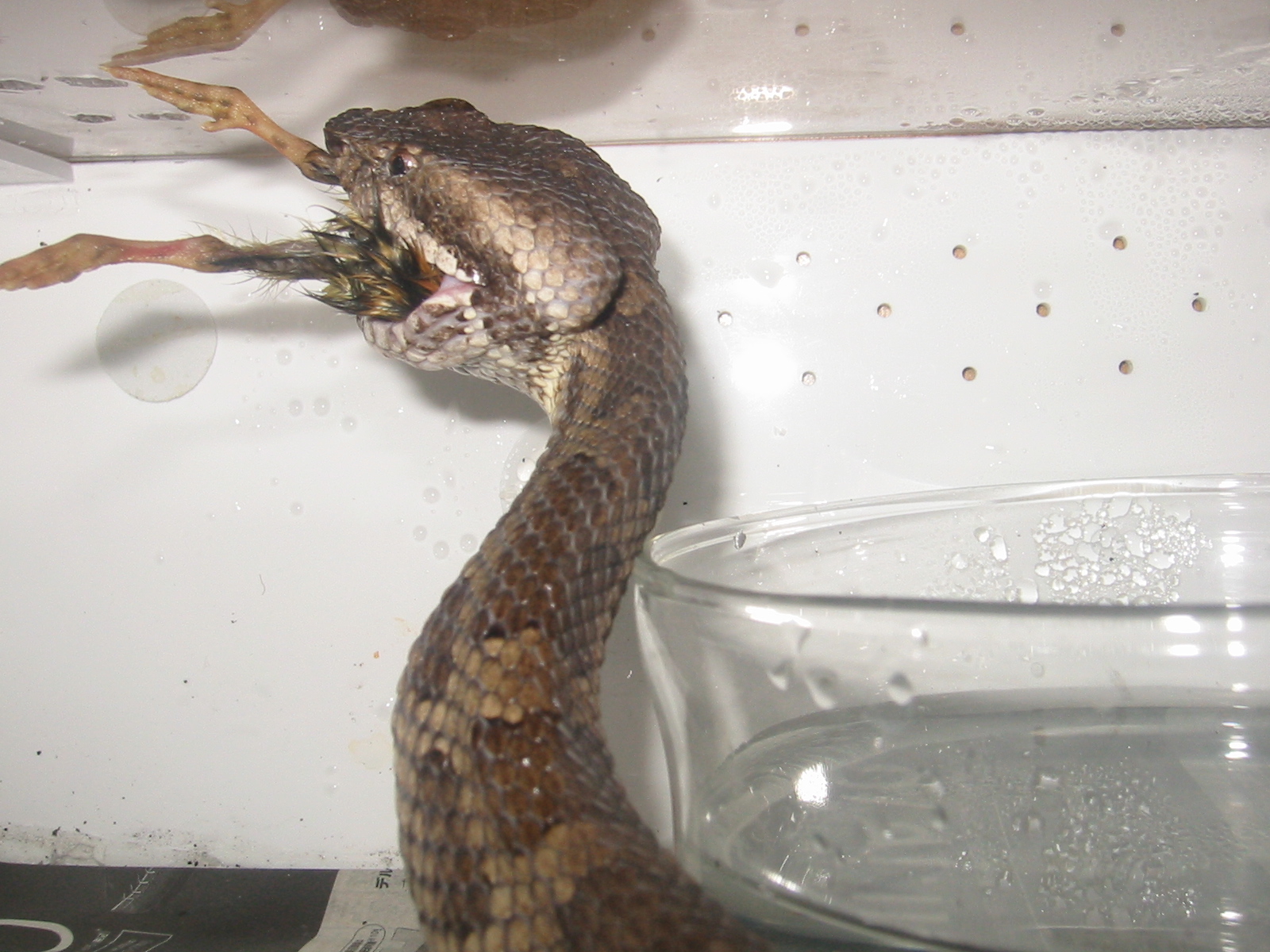 �q����a11.16.JPG [713 Kb]