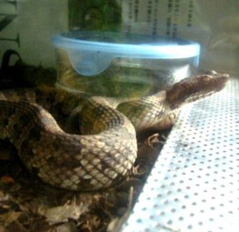 �q���n�u10.15.jpg [22 Kb]