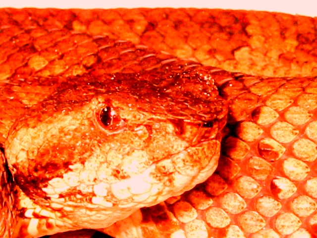 �q����11.21e.JPG [206 Kb]