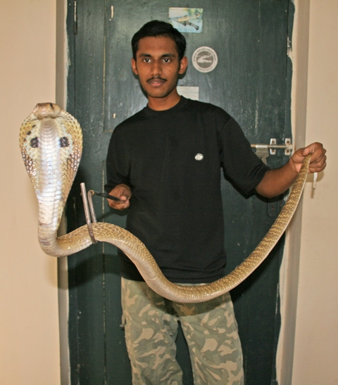 cobra+me.jpg [168 Kb]