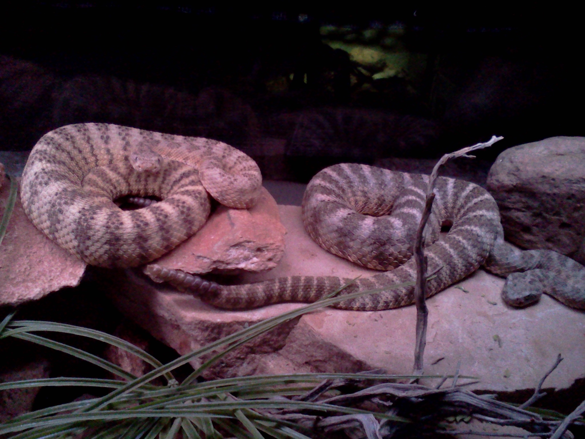 IMG_20131025_011818.jpg [762 Kb]